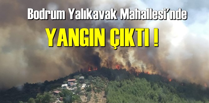 Bodrum Yalıkavak Mahallesi'nde