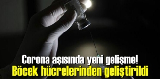 Böcek hücreleri aşı için gerekli proteinler