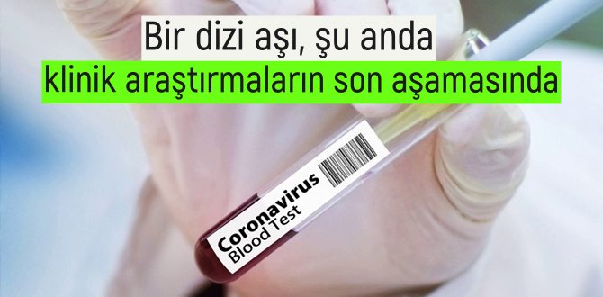 Aşılar son aşamada