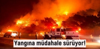 ABD’de Kontrol altına alınamayan Yang