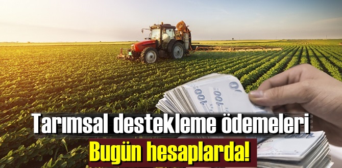 'DÜNYADA FINDIK DENİLİNCE AKLA İLK TÜRKİYE GELİR'