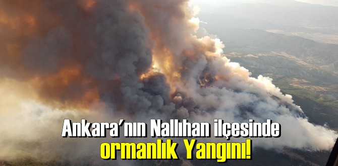 Nallıhan ilçesinde ormanlık Yangını