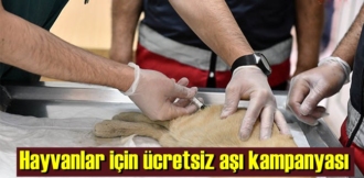 kedi ve köpekler için ücretsiz kuduz aşısı kampanyası