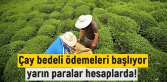 Çay bedeli ödemeleri başlıyor