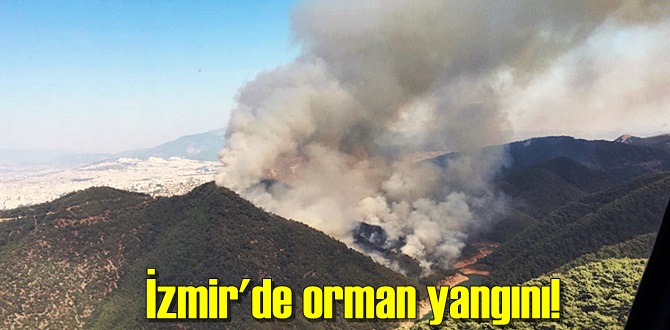 Orman yangınları