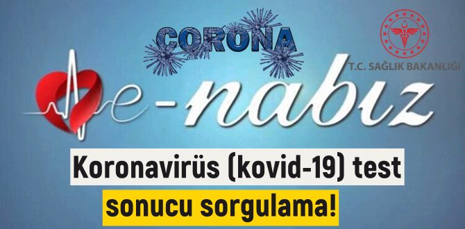 Koronavirüs (kovid-19) test