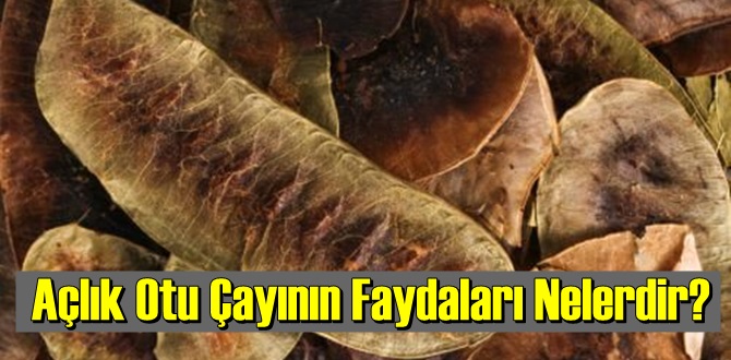 Açlık Otu Çayı