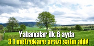 yabancıların Toprak alımı sürüyor