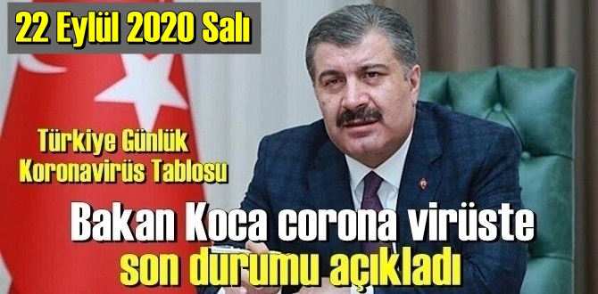 Türkiye Koronavirüs verisi