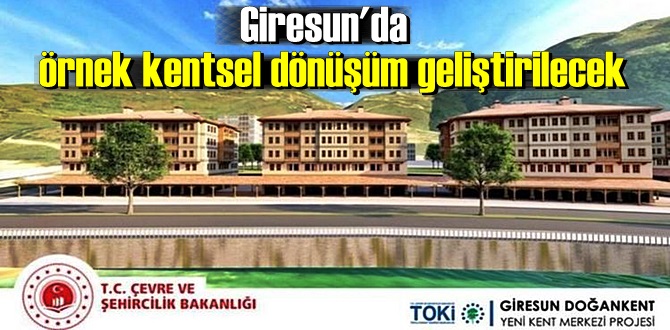 Dereli ve Doğankent'te dönüşüm çalışmaları