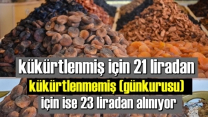 Dr. Bekir Pakdemirli