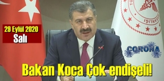 29 Eylül 2020 Salı/ Türkiye Koronavirüs veri tablosu