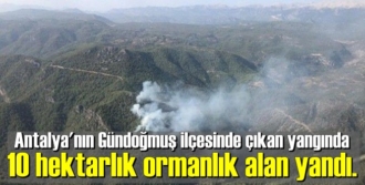 Antalya'nın Gündoğmuş ilçesinde çıkan yangın