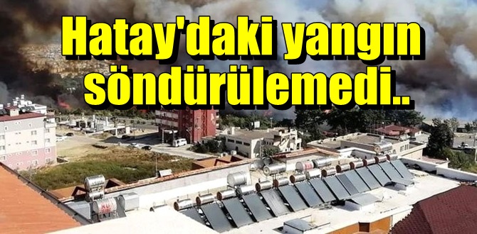 Hatay'daki yangın