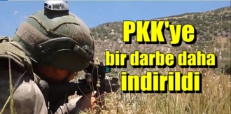 PKK'ye bir darbe daha indirildi