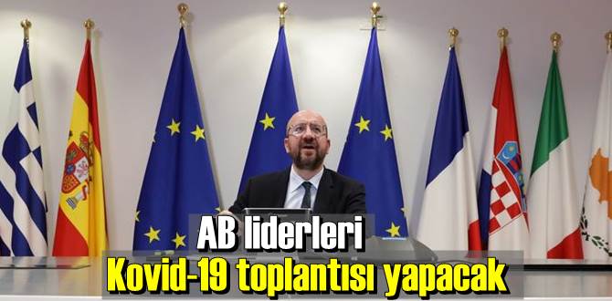 AB liderlerine video konferans toplantı çağrısı