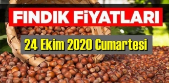 Türkiye günlük Fındık piyasası,