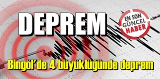 Bingöl'de 4 büyüklüğünde deprem