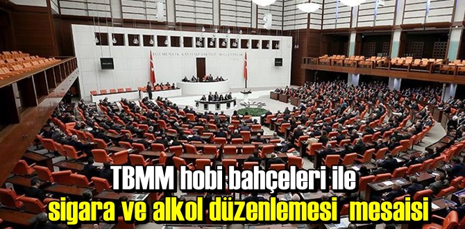 TBMM Genel Kurulu