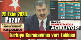 İyileşenlerin toplam sayısı 314 bin 390'a yükseldi