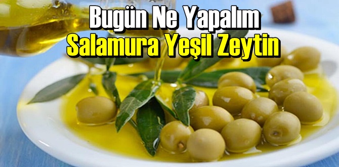 Salamura Yeşil Zeytin Yapılışı