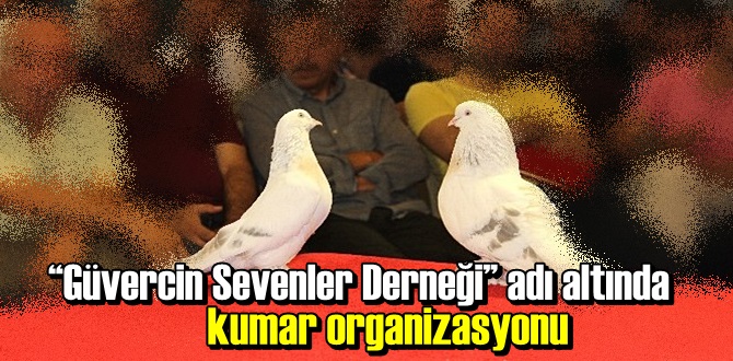Güvercin Sevenler Derneği!