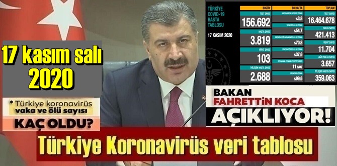 17 kasım salı 2020 koronavirüs vaka tablosu