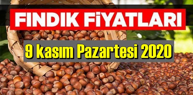 9 kasım Pazartesi 2020 Türkiye günlük Fındık piyasası, Fındık bugüne nasıl başladı