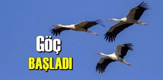 Kış Kapıya dayandı Leyleklerin göç yolculuğu başladı
