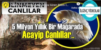 İlginç ama gerçek: 5 Milyon Yıllık Bir Mağarada Acayip Canlılar