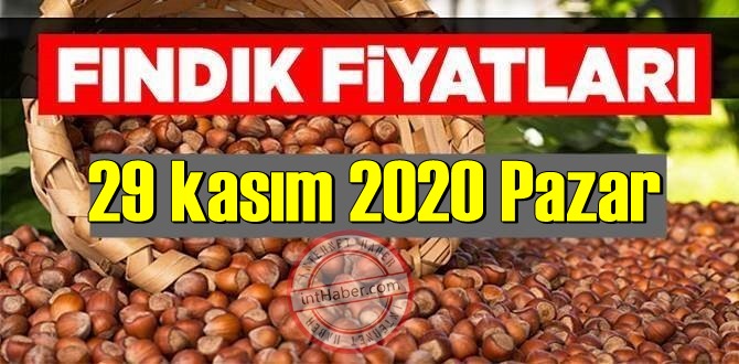 29 kasım 2020 Pazar Türkiye günlük Fındık piyasası, Fındık bugüne nasıl başladı