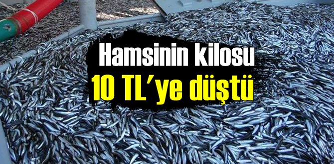 Deniz suyu sıcaklığının düşmesi fiyatlara yansıdı, Fiyatlar düştü!