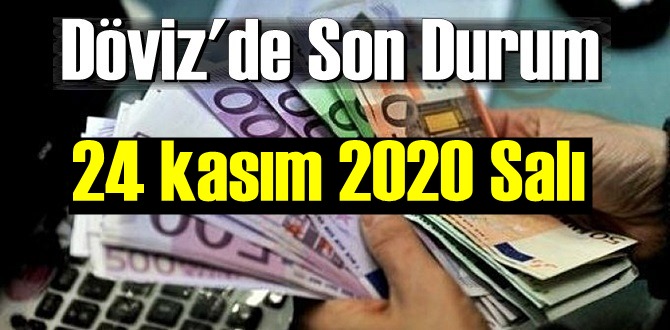 24 kasım 2020 Salı Döviz fiyatları