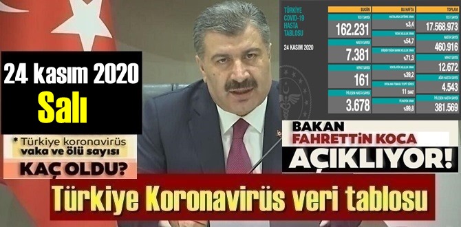 24 kasım 2020 Salı/ Türkiye Koronavirüs veri tablosu açıklandı