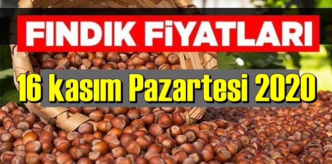 Türkiye günlük Fındık piyasası, Fındık bugüne nasıl başladı