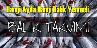 Hangi Ayda hangi Balık Yenmeli! Ocak'ta Kefal ve hamsi - Kasım'da Uskumru