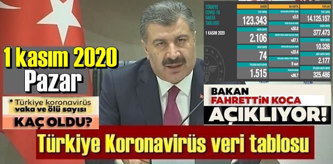 1 kasım 2020 Pazar/ Türkiye Koronavirüs veri tablosu