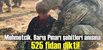 Mehmetcik, Barış Pınarı şehitleri anısına 525 fidan dikti!