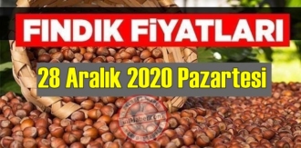 28 Aralık 2020 Pazartesi Türkiye günlük Fındık fiyatları, Fındık bugüne nasıl başladı