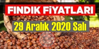 29 Aralık 2020 Salı Türkiye günlük Fındık fiyatları, Fındık bugüne nasıl başladı