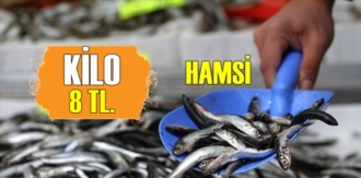 Hamsinin fiyatı 8 TL'ye indi!