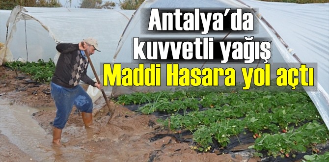 Antalya'da kuvvetli yağış Maddi Hasara yol açtı,tarım alanları ve meyve bahçeleri zarar gördü