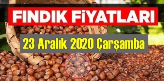 23 Aralık 2020 Çarşamba Türkiye günlük Fındık fiyatları, Fındık bugüne nasıl başladı