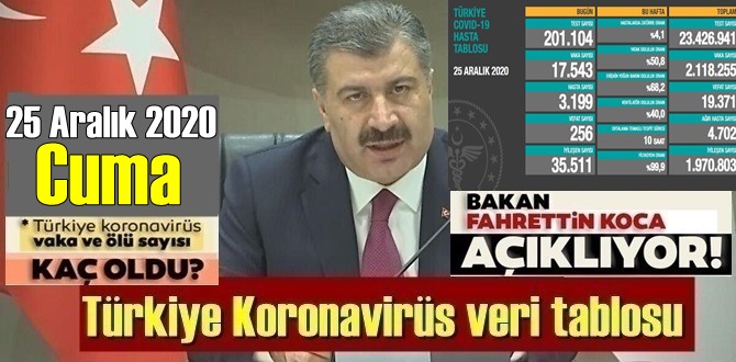 Sıkıntı devam ediyor! 25 Aralık 2020 Cuma / Türkiye Koronavirüs veri tablosu açıklandı