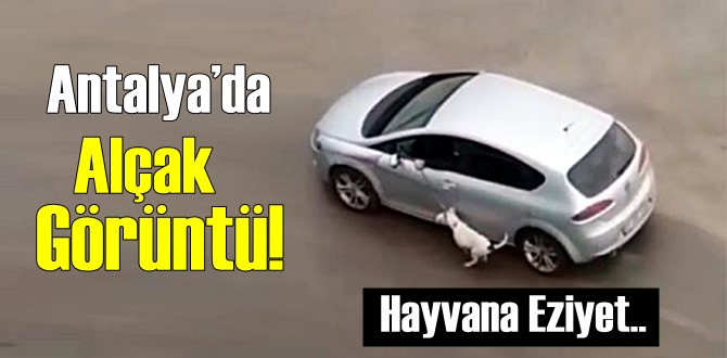 Antalya’da bu kadarı da olmaz dedirten görüntü!