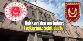 MSB Acı Haberi duyurdu: Hakkari'de 1 Mehmetci Şehit Oldu