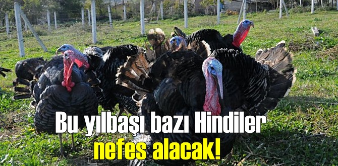 Bu yılbaşı bazı Hindiler yaşamaya devam edecek!