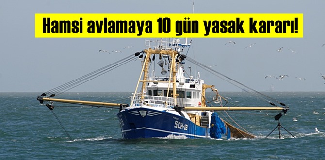 Hamsi avlamaya 10 gün yasak kararı!