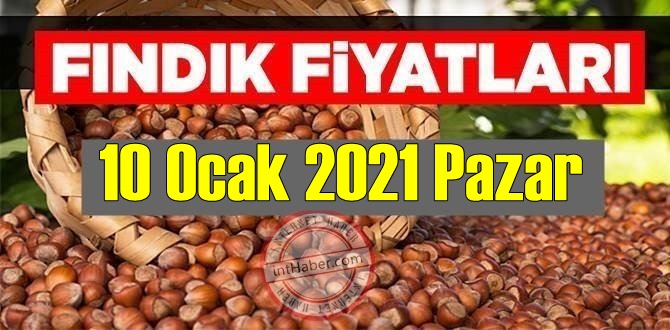 10 Ocak 2021 Pazar Türkiye günlük Fındık fiyatları, Fındık bugüne nasıl başladı