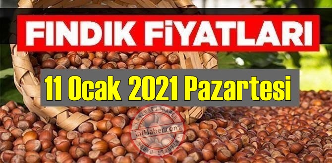 11 Ocak 2021 Pazartesi Türkiye günlük Fındık fiyatları, Fındık bugüne nasıl başladı